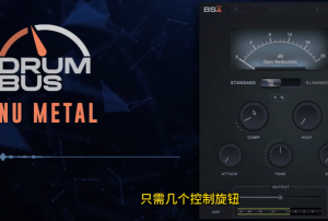 Black Salt Audio Drum Bus：让你的鼓组瞬间“炸裂”！WIN-果果音源网