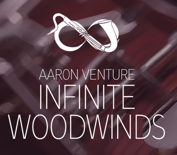[管弦乐木管音源]Aaron Venture Infinite Woodwinds v2.0 [KONTAKT]（8.92GB）-果果音源网
