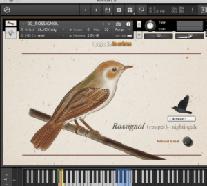 [夜莺红雀红尾鸲虚拟鸣禽音源]Loops De La Creme Songbird Virtuoso [KONTAKT]（483Mb）