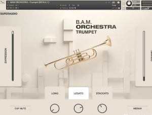 [乐团小号音源]SuperAudio B.A.M Orchestra Trumpet [KONTAKT]（31Mb）-果果音源网