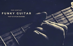 [Funky吉他音源]PastToFutureReverbs Funky Guitar [KONTAKT]（109.44MB）-果果音源网