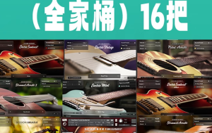 [2024全家桶16把]Native Instruments Session Guitarist/Bassist自动伴奏扫弦电木吉他贝斯 [KONTAKT]（156Gb）