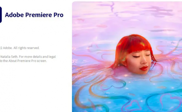 [视频编辑软件]Adobe Premiere Pro 2025 v25.0 [WIN]（1.93GB）